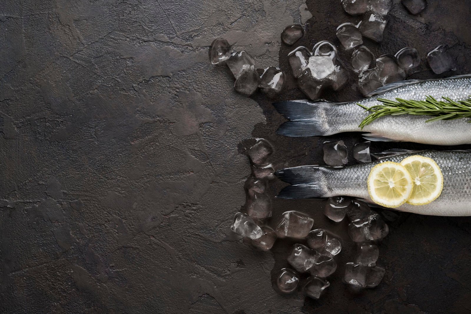 flat-lay-fish-ice-cubes-with-copy-space